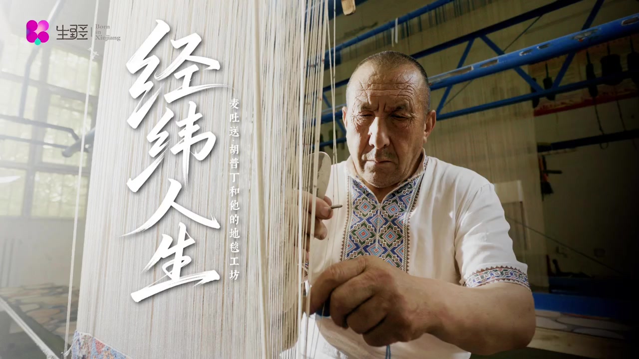 《经纬人生：麦吐送·胡普丁和他的地毯工坊》封面